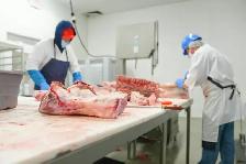Butcher Aurora