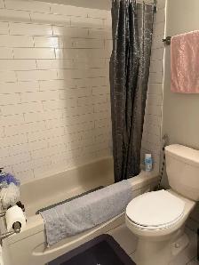 Large 3 1/2 Apartment for Lease in Ville Saint-Laurent - Photo 2