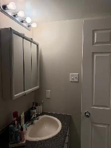 Large 3 1/2 Apartment for Lease in Ville Saint-Laurent - Photo 4