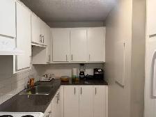 Large 3 1/2 Apartment for Lease in Ville Saint-Laurent - Photo 9