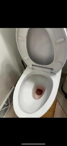 Professional House Cleaning Calgary | $40/hr | Supplies Included - Photo 8