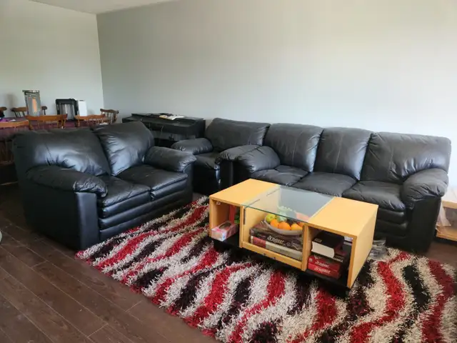 genuine leather sofa