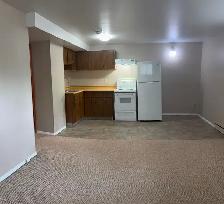 One Bedroom Lakeview - Photo 2