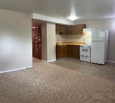 One Bedroom Lakeview - Photo 3