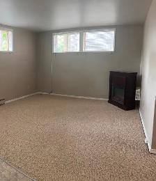One Bedroom Lakeview - Photo 5