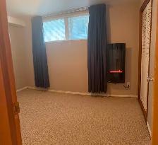 One Bedroom Lakeview - Photo 6