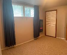 One Bedroom Lakeview - Photo 7