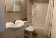 One Bedroom Lakeview - Photo 8