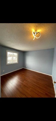 Room on rent