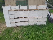 SMALL BEEKEEPING ENTERPRISE FOR SALE - Photo 2