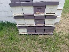 SMALL BEEKEEPING ENTERPRISE FOR SALE - Photo 3