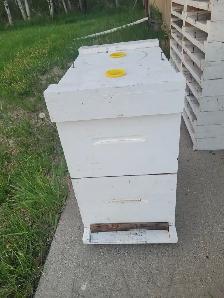 SMALL BEEKEEPING ENTERPRISE FOR SALE - Photo 8