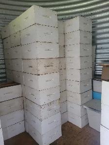 SMALL BEEKEEPING ENTERPRISE FOR SALE - Photo 9
