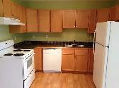 Fourplex in Olds - Photo 3