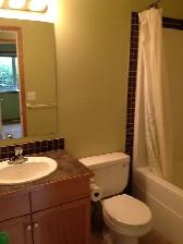 Fourplex in Olds - Photo 11