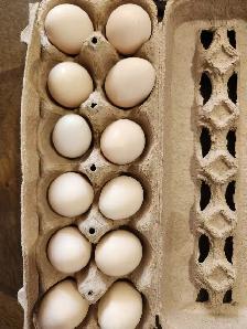 Eggs for sale!