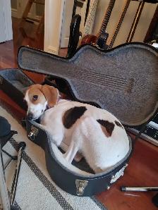 Classical Guitar Lessons - Photo 2