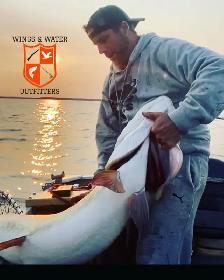 GUIDED FISHING TRIPS WITH WINGS AND WATER OUTFITTERS