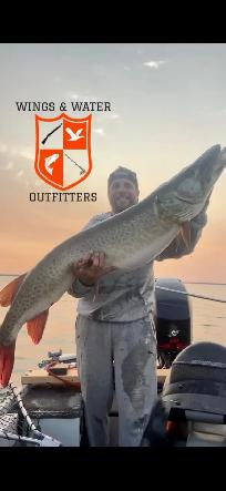 GUIDED FISHING TRIPS WITH WINGS AND WATER OUTFITTERS - Photo 2