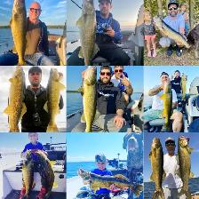 GUIDED FISHING TRIPS WITH WINGS AND WATER OUTFITTERS - Photo 3