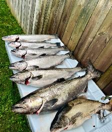GUIDED FISHING TRIPS WITH WINGS AND WATER OUTFITTERS - Photo 8