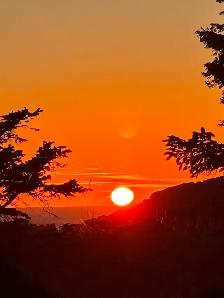1.1 acreage for sale in beautiful Bamfield Vancouver Island .