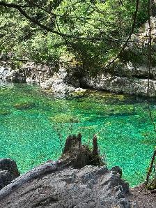 1.1 acreage for sale in beautiful Bamfield Vancouver Island . - Photo 3