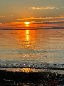 1.1 acreage for sale in beautiful Bamfield Vancouver Island . - Photo 5