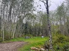 1.1 acreage for sale in beautiful Bamfield Vancouver Island . - Photo 9