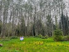 1.1 acreage for sale in beautiful Bamfield Vancouver Island . - Photo 11