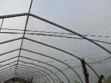 Serre commerciale Ovaltech I 25'X100' - Photo 2