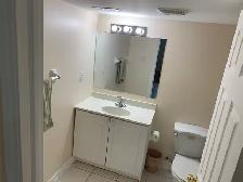Basement for Rent Castlemore - Photo 4