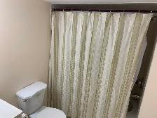 Basement for Rent Castlemore - Photo 5