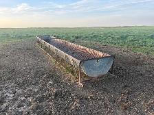 Silage Feeders