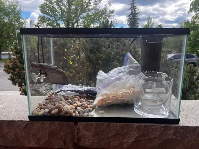 aquarium