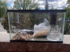 aquarium