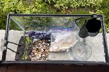 aquarium - Photo 2
