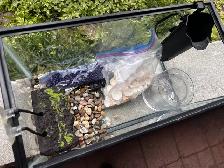 aquarium - Photo 3