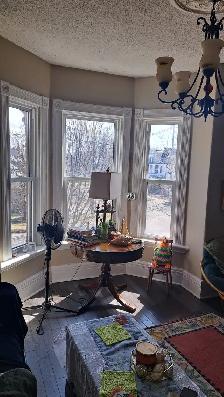 Female Roomate Wanted - Photo 3