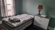 Female Roomate Wanted - Photo 5