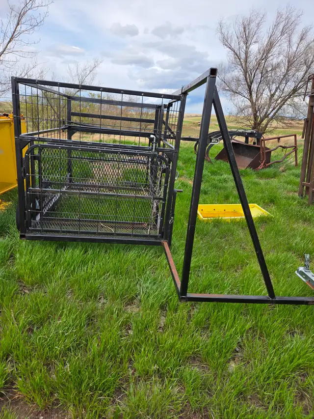 Calf Catcher FOR SALE