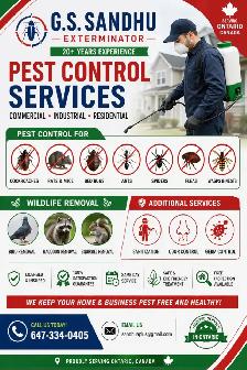 PEST CONTROL, TERMITE & WILDLIFE CONTROL ON CALL 647-334-0405 - Photo 9