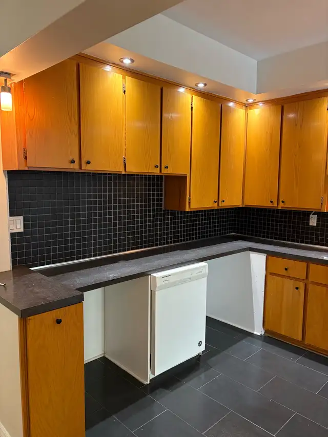 HUGE 4-5 Bedroom/ 2 Bathroom Apt /Plateau Mont Royal …July 1