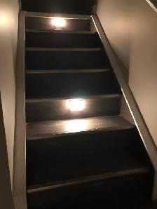 2-Bedroom Basement Suite for Rent – Available Immediately! - Photo 7