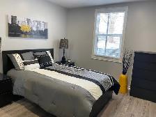 HULL - Appartement meublé 3 1/2 - Furnished Apartment 1 bedroom - Photo 5