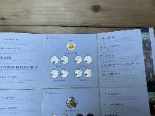 2. THE WAR OF 1812 Uncirculated 9 Complete Canadian Coins Sets ! - Photo 2