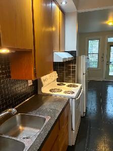 HUGE 4-5 Bedroom/ 2 Bathroom / Plateau Mont Royal/ July 1 - Photo 7