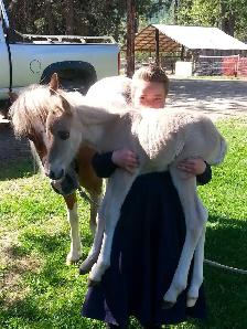 Perfect kids horse - Photo 2