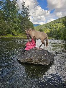 Perfect kids horse - Photo 3