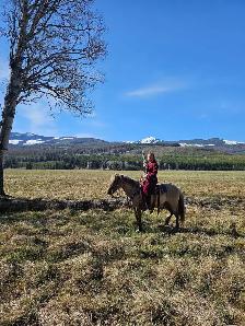 Perfect kids horse - Photo 4